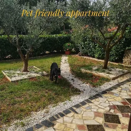 House With A Parking Space - 21993