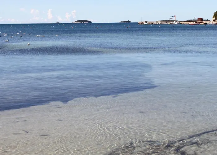 House With A Parking Space - 21993 * Rovigno