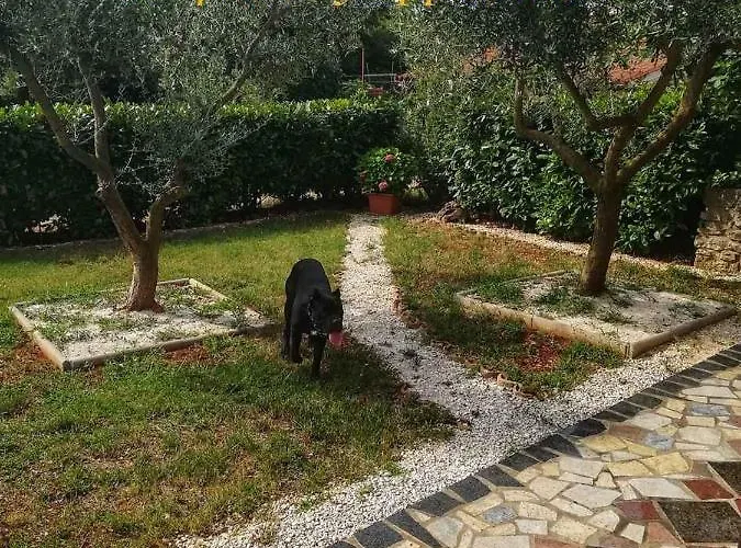 House With A Parking Space - 21993